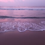 Sea Gull (Junior suite )