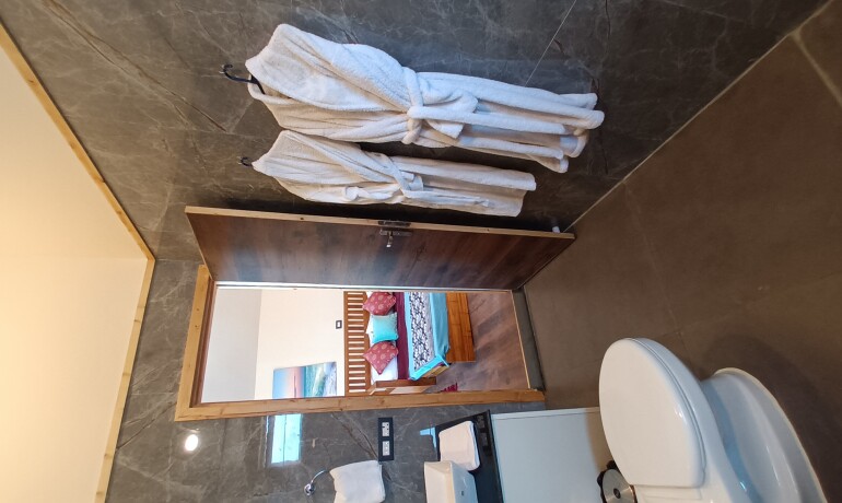 Pandora suite (Family Executive )
