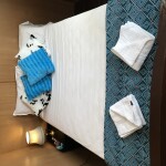 Container Suite (Triple Beds)